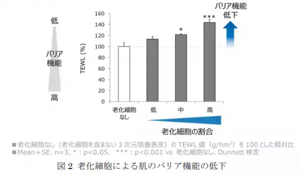 細胞老化が肌のバリア機能に重要な結合型セラミドを減少させる新知見