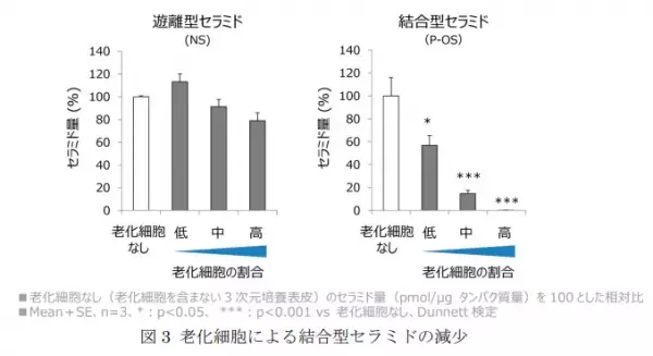 細胞老化が肌のバリア機能に重要な結合型セラミドを減少させる新知見