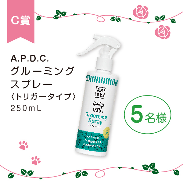 【清水公園】花ファンタジアでフォトキャンペーン開催！