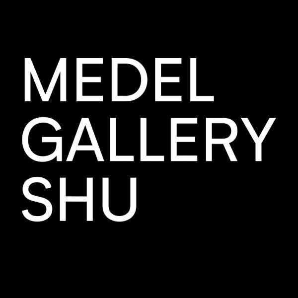 森戸一恵個展「Swan Maidens」1月9日より1月21日まで、MEDEL GALLERY SHUで開催！