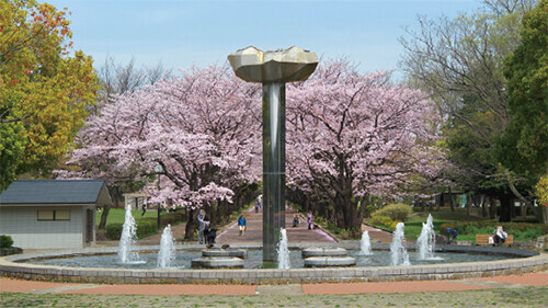 多摩エリアの都立4公園の戦争遺跡巡りで歴史を学び、お花の種を集めよう！実施期間は8/3日(土)から8/18(日)まで。