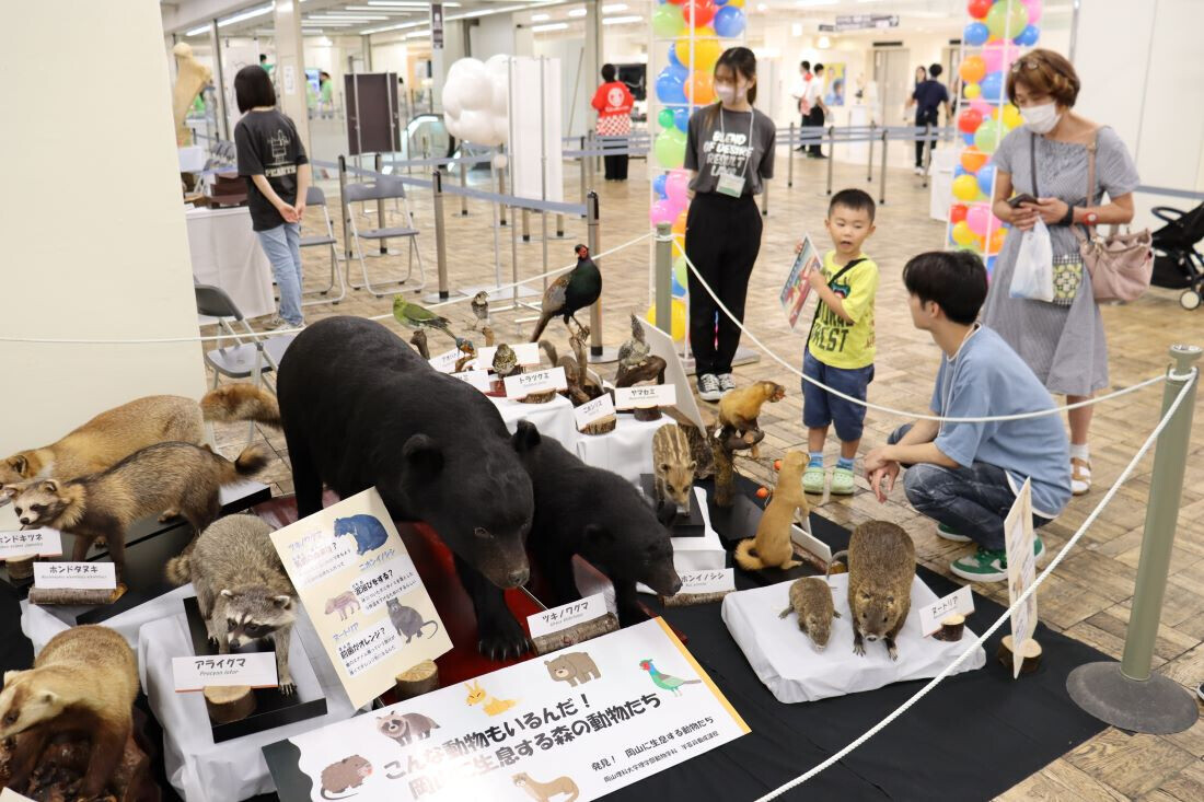 【岡山理科大学】岡山高島屋で「ワクワク、サイエンスフェスティバル。」開催