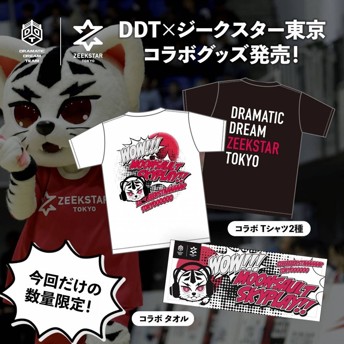プロレス×ハンドボール DDTとジークスター東京のコラボ興行DDZT 4/25～27開催