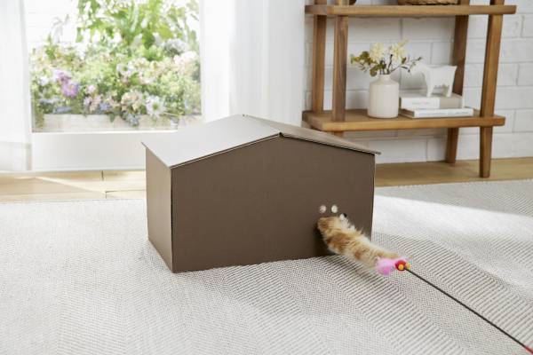 アナタの猫は常に見ている…【究極の猫の隠れ家】発売前先行体験キャンペーンが1月11日からスタート！