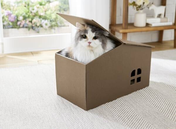 アナタの猫は常に見ている…【究極の猫の隠れ家】発売前先行体験キャンペーンが1月11日からスタート！