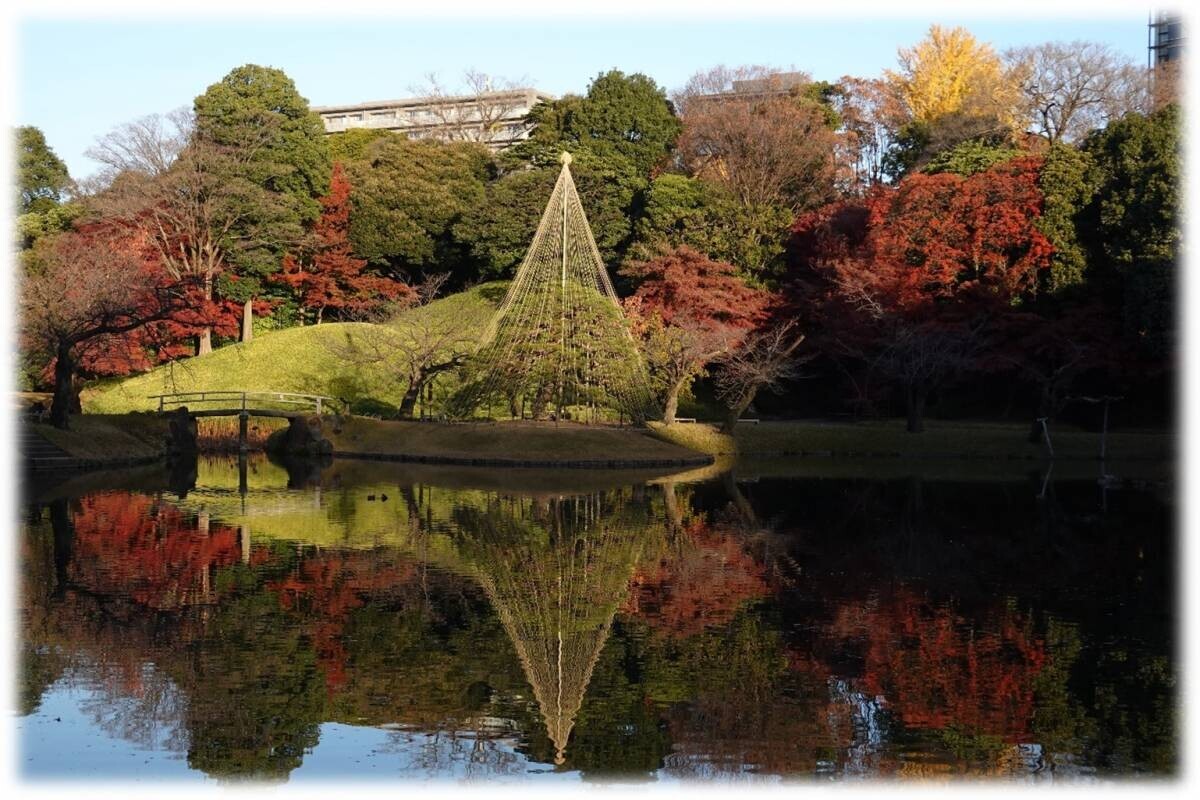 約400本のイロハモミジで紅く染まる大名庭園で 「深山紅葉を楽しむ」開催（11/16～12/8）