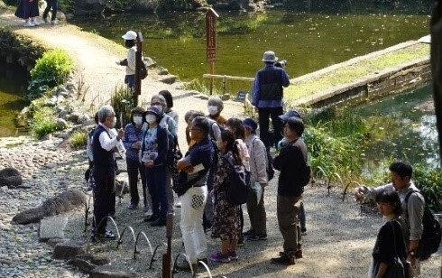 約400本のイロハモミジで紅く染まる大名庭園で 「深山紅葉を楽しむ」開催（11/16～12/8）