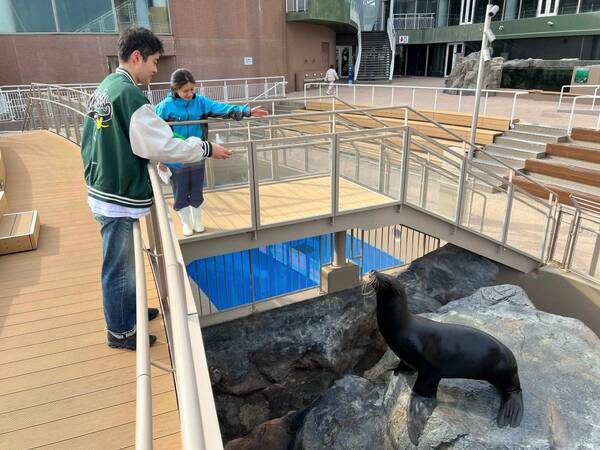 【アクアワールド茨城県大洗水族館】春の訪れ感じる水族館、海の生き物たちとの素敵な出会いが待っている！ アクアワールド・大洗で春休みを満喫しよう♪