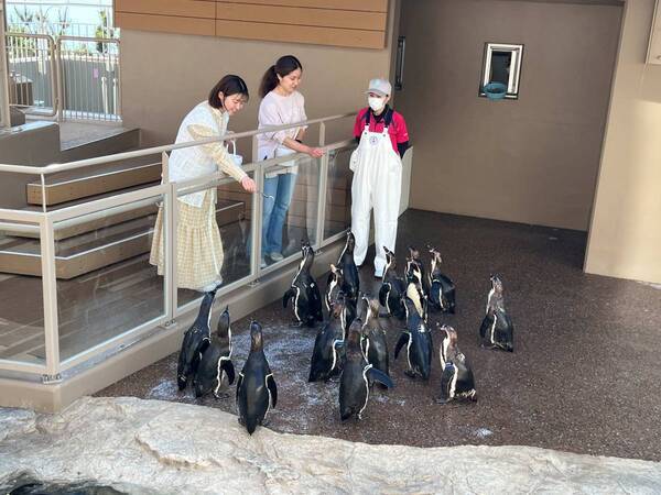 【アクアワールド茨城県大洗水族館】春の訪れ感じる水族館、海の生き物たちとの素敵な出会いが待っている！ アクアワールド・大洗で春休みを満喫しよう♪