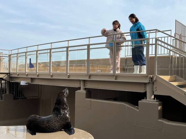 【アクアワールド茨城県大洗水族館】春の訪れ感じる水族館、海の生き物たちとの素敵な出会いが待っている！ アクアワールド・大洗で春休みを満喫しよう♪