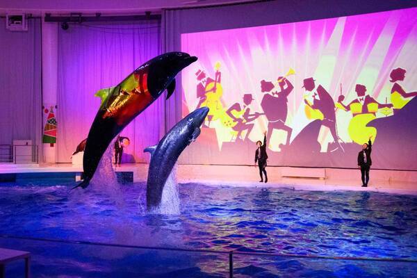 【アクアワールド茨城県大洗水族館】春の訪れ感じる水族館、海の生き物たちとの素敵な出会いが待っている！ アクアワールド・大洗で春休みを満喫しよう♪