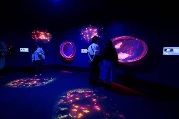 【アクアワールド茨城県大洗水族館】春の訪れ感じる水族館、海の生き物たちとの素敵な出会いが待っている！ アクアワールド・大洗で春休みを満喫しよう♪