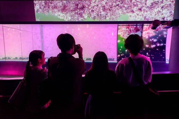 【アクアワールド茨城県大洗水族館】春の訪れ感じる水族館、海の生き物たちとの素敵な出会いが待っている！ アクアワールド・大洗で春休みを満喫しよう♪