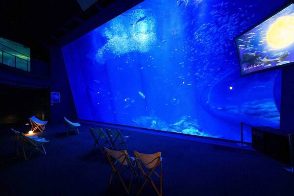 【アクアワールド茨城県大洗水族館】春の訪れ感じる水族館、海の生き物たちとの素敵な出会いが待っている！ アクアワールド・大洗で春休みを満喫しよう♪