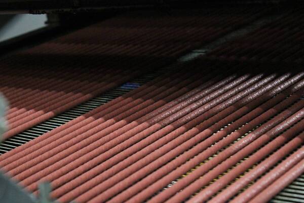 夏休みは体験して学ぶ！　参加体験型イベント 『グッデイ夏休みワクワク社会科見学2024』今年も実施