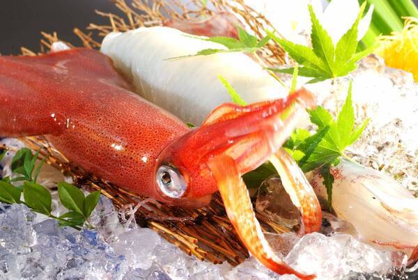 【好評につき7月14日迄期間延長】海の宝石・活け烏賊と丹後の美味を堪能する初夏の休日－活け烏賊付きプラン好評発売中－「あまやどりの宿　雨情草庵」