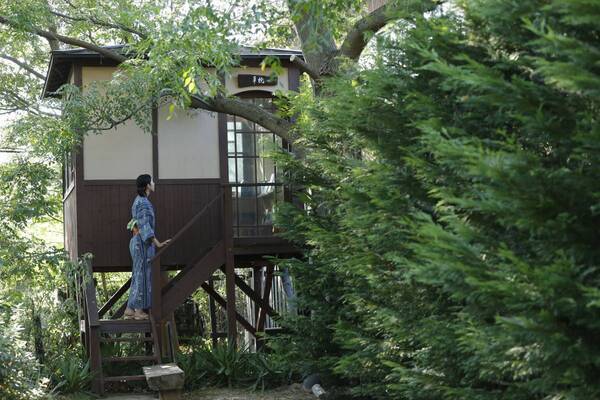 【好評につき7月14日迄期間延長】海の宝石・活け烏賊と丹後の美味を堪能する初夏の休日－活け烏賊付きプラン好評発売中－「あまやどりの宿　雨情草庵」