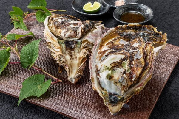 【好評につき7月14日迄期間延長】海の宝石・活け烏賊と丹後の美味を堪能する初夏の休日－活け烏賊付きプラン好評発売中－「あまやどりの宿　雨情草庵」