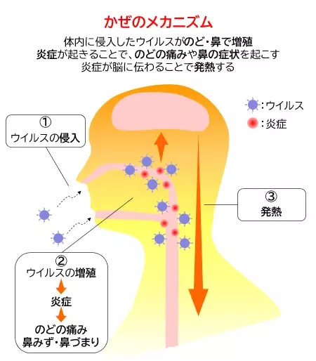 かぜ薬を飲み始めるタイミングについて調査！