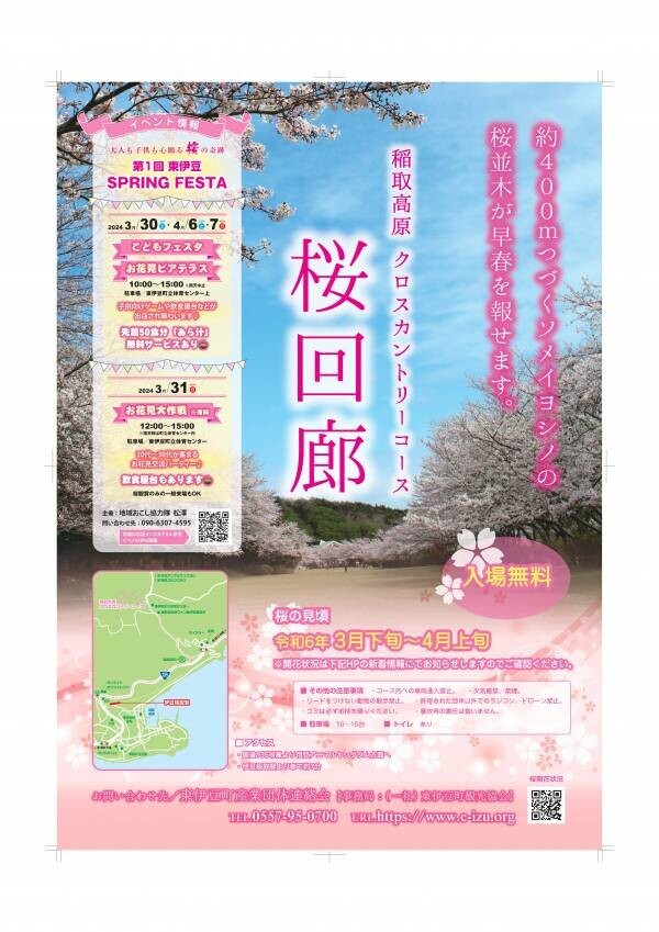 春満開！東伊豆で見られる400mの「桜回廊」で感動体験！