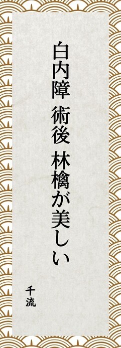 パリミキ　第七回「ロービジョン・ブラインド 川柳コンクール」 開催のお知らせ