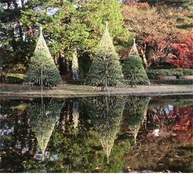 新春ならではの植物展示・コンサートで新しい年を祝おう！神代植物公園では1/2(木)から開園し「正月開園と新春の催し」を実施します