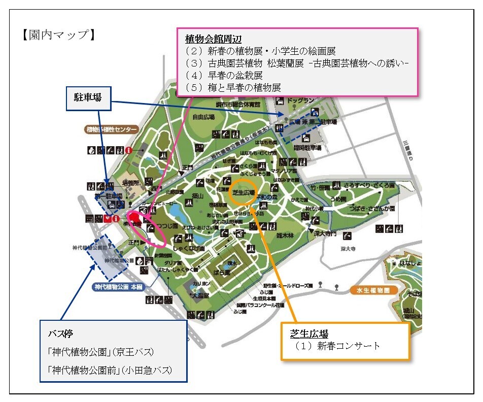 新春ならではの植物展示・コンサートで新しい年を祝おう！神代植物公園では1/2(木)から開園し「正月開園と新春の催し」を実施します