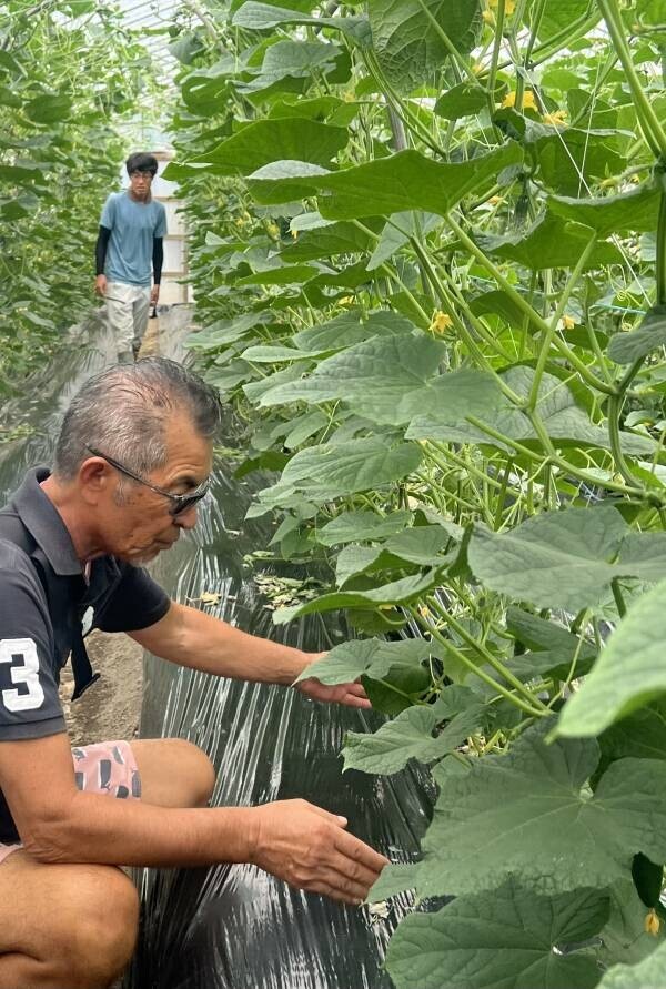 【ロッジ舞洲】地域の味わいと自然が織りなす贅沢な朝—大阪ベイエリアのホテル・ロッジ舞洲が提供する新しい朝食体験、10月1日からスタート