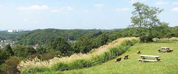 【3月17日（日）】小山田緑地で「小山田・小野路」の里山を歩くウォーキングイベント（ガイド付き）を開催！
