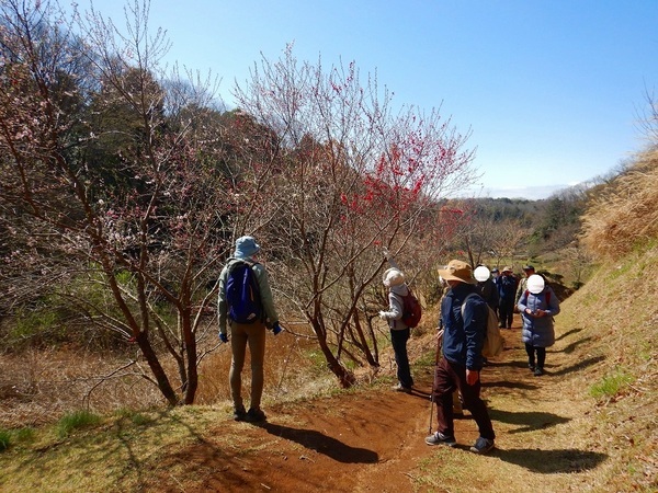 【3月17日（日）】小山田緑地で「小山田・小野路」の里山を歩くウォーキングイベント（ガイド付き）を開催！