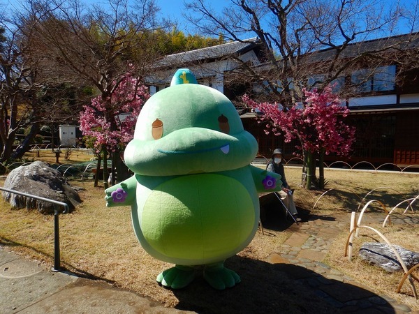 【3月17日（日）】小山田緑地で「小山田・小野路」の里山を歩くウォーキングイベント（ガイド付き）を開催！