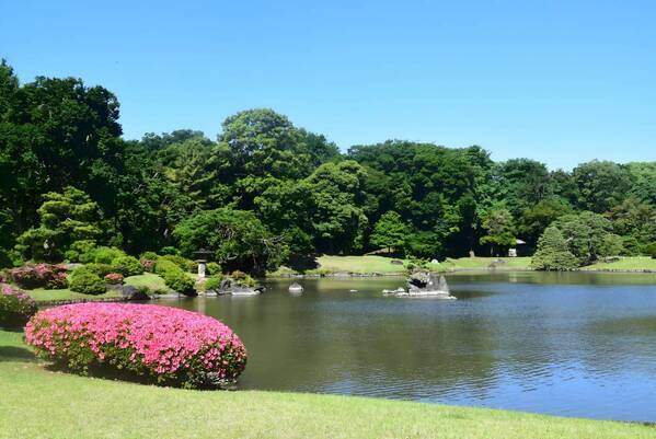 【都立9庭園】5月4日(土・祝) みどりの日は無料開園を実施します！