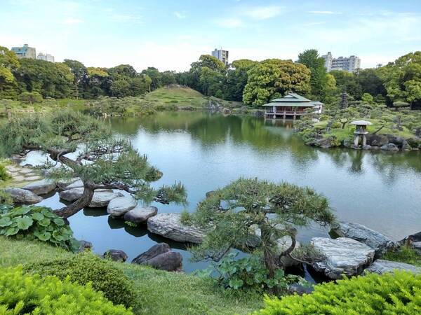 【都立9庭園】5月4日(土・祝) みどりの日は無料開園を実施します！