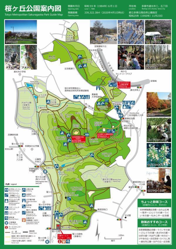 きのこ好き集まれ！桜ヶ丘公園で「きのこ観察会」6月23日(日)開催