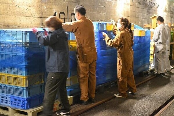 今年も販売！志賀町で生まれ、珠洲市で熟成した「いろは芋」数量限定で販売中