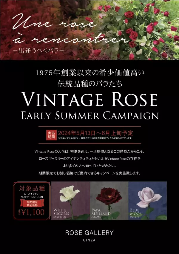 ローズギャラリーの歴史を語るバラ“Vintage Rose”に出逢う期間限定キャンペーン開催　『Une rose à rencontre』ウネ ロザ ランコーント ～ 出逢うべくバラ～