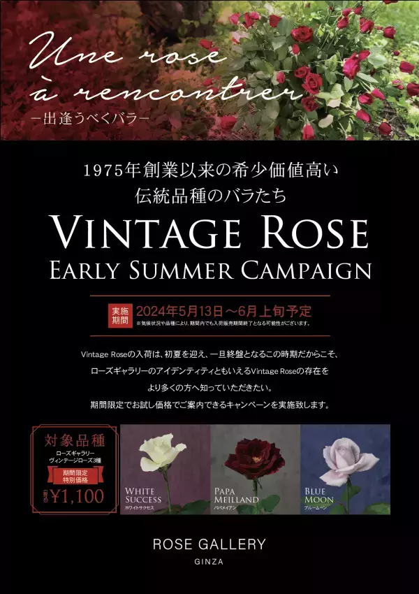 ローズギャラリーの歴史を語るバラ“Vintage Rose”に出逢う期間限定キャンペーン開催　『Une rose à rencontre』ウネ ロザ ランコーント ～ 出逢うべくバラ～
