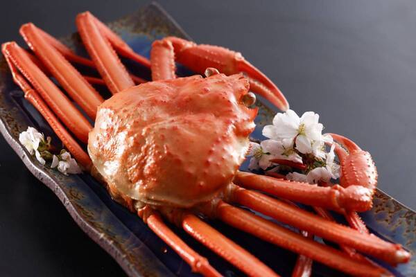 【海の京都 丹後で海鮮づくし】-料理長自慢の「春の海鮮グルメ」予約受付中-　夕日ヶ浦温泉「夕日浪漫　一望館」