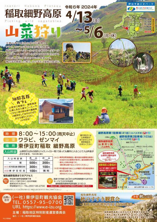 【伊豆の春の訪れ】わらび・ぜんまいなど春の味覚狩りを家族で楽しめる 「稲取細野高原 山菜狩り園」が開催