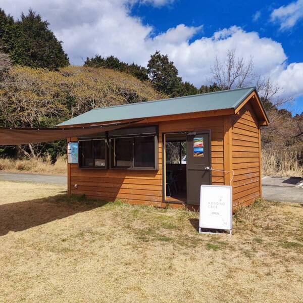 【伊豆の春の訪れ】わらび・ぜんまいなど春の味覚狩りを家族で楽しめる 「稲取細野高原 山菜狩り園」が開催