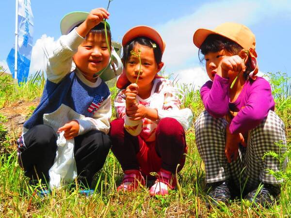 【伊豆の春の訪れ】わらび・ぜんまいなど春の味覚狩りを家族で楽しめる 「稲取細野高原 山菜狩り園」が開催