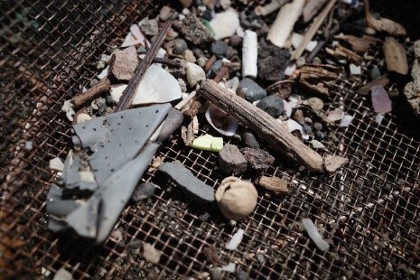 『ファイト イッパーツ！ごみ拾い』開催