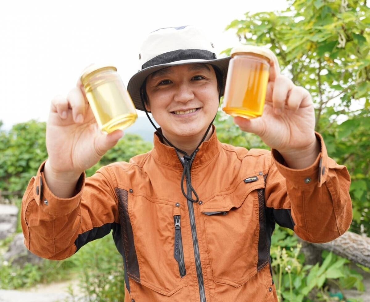 秋田県大館市から採れたてのあかしあ蜂蜜が到着 大容量・国産あかしあ蜂蜜も同時発売