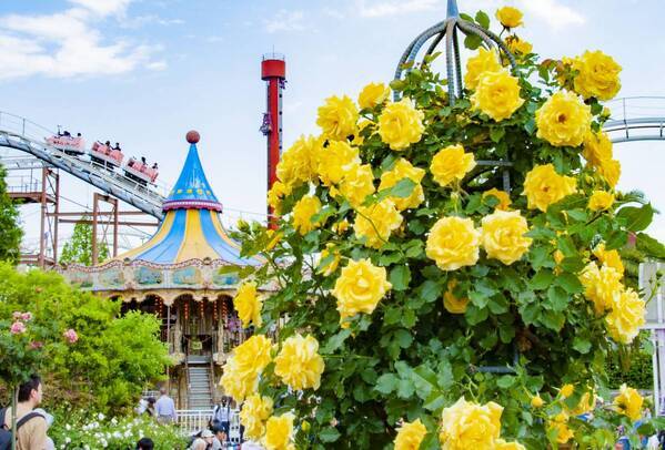 人気イベントの開催も決定！ 季節の草花で彩る「ローズフェスティバル」開催