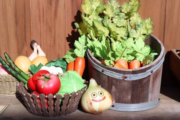 ドラゴンクエスト アイランド3周年記念イベント！淡路のたまねぎで大冒険⁉初心者クエスト「たまねぎスライム大収穫祭」