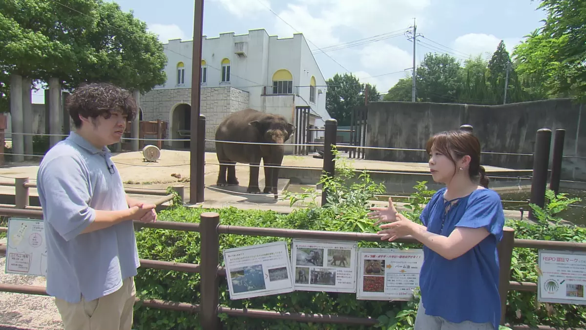 「教えちゃうZOO！～ほのぼの動物園の楽しみ方２～」動物園マスターが伝授！第２弾は福山市立動物園