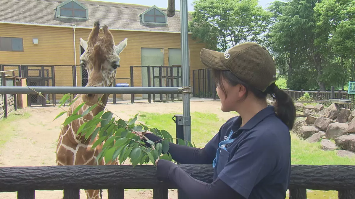 「教えちゃうZOO！～ほのぼの動物園の楽しみ方２～」動物園マスターが伝授！第２弾は福山市立動物園