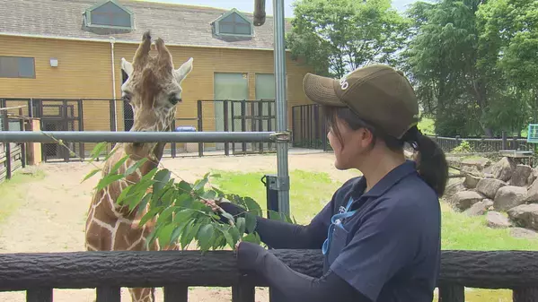 「教えちゃうZOO！～ほのぼの動物園の楽しみ方２～」動物園マスターが伝授！第２弾は福山市立動物園