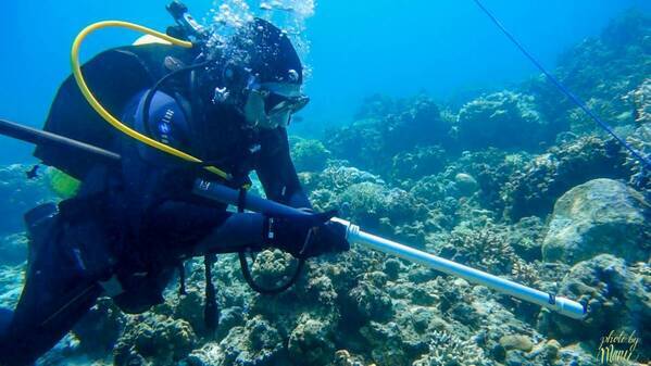 エドックスが4月21日に国内初となるビーチクリーンアップを実施