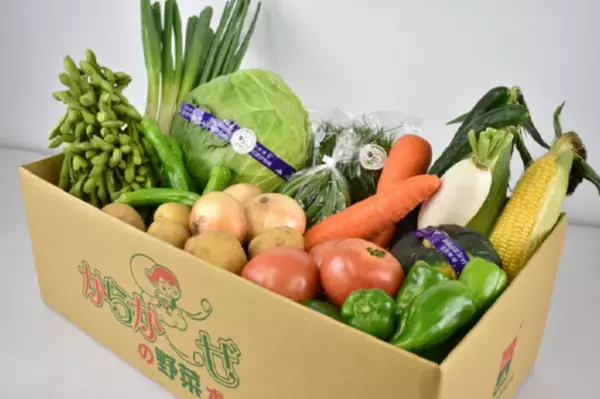 「ＪＡタウン」のショップ「新鮮ぐんまみのり館」で リニューアルオープン３周年記念キャンペーン開催中！ 対象商品300円off！抽選で１０名様に5,000円クーポンプレゼント！